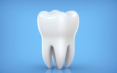 Dental model of premolar tooth, 3d rendering on blue backgroun. 3d illustration as a concept of dental examination teeth, dental health and hygiene