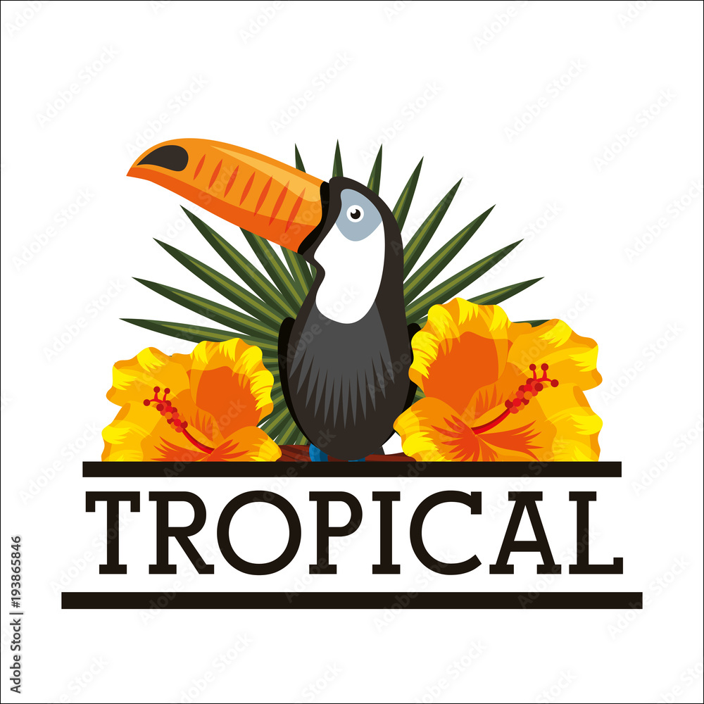 Canvas Prints toucan and hibiscus natural tropical flower leaves white background vector illustration