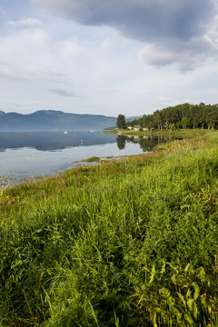 Meadow at the sea