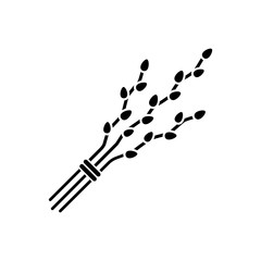 pussy willow brunches simple black icon on white background