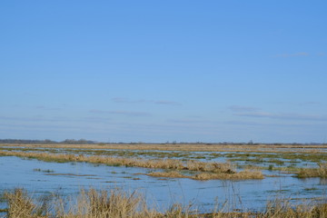 Am Ahrensfelder Damm in Osterholz-Scharmbeck im Winter mit gefrorenen Eisfl&auml;chen.