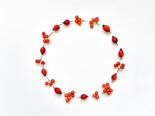 Bright berries of dog rose and rowan berries in round frame on white background. Flat lay, top view