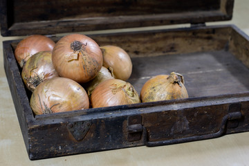 Onion the best specific  for influenza. Syrup prepared from onions.
