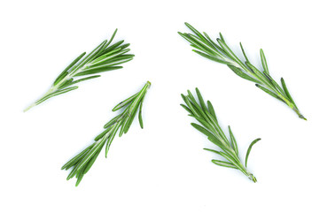 Fresh green rosemary isolated on a white background. Top view. Flat lay