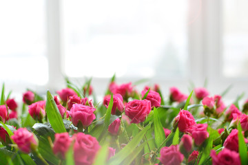 Flower shop background with a sunny shop-window.