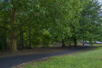 Landscape, road, trees, nature, green, forest, path, summer, spring, country, grass, way, leaves, street