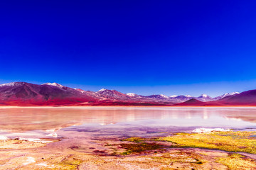 View on colorful laguna Blanca in the Altiplano of Bolivia