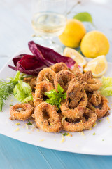 Piatto di calamari fritti, cucina mediterranea