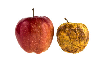 fresh and rotten apples on isolated white background