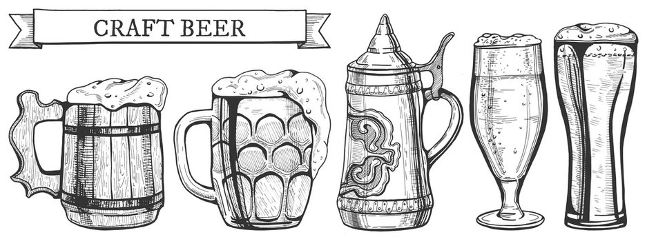 beer glass types