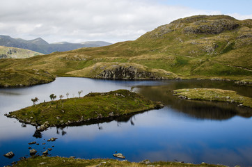 Angel Tarn