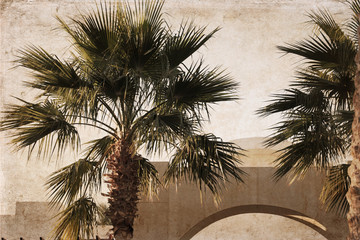 Artwork in retro style, palm trees, Africa, Egypt.