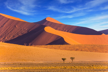 The Namib-Naukluft at sunset - obrazy, fototapety, plakaty