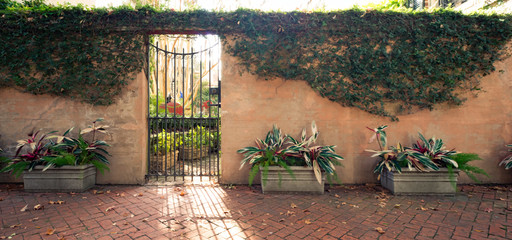 Decorative Doors and Door way Entrances