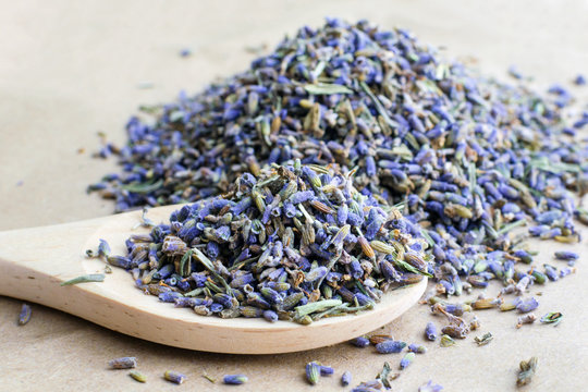 dry natural lavender flowers