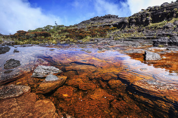 Fototapeta na wymiar Colored rivers and pools on Mount Roraimpa, Venezuela