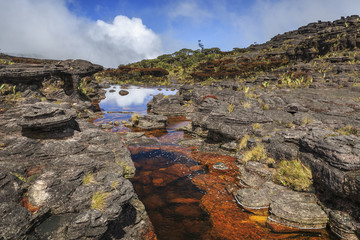 Colored rivers and pools on Mount Roraimpa, Venezuela