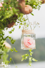 Fototapeta na wymiar Wedding decoration, rose in transparent hanging jar, white and pink flowers, rustic style