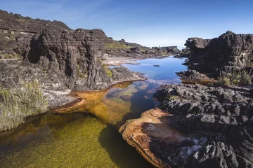 Foto op Plexiglas Colored rivers and pools on Mount Roraimpa, Venezuela © sunsinger