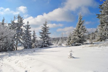 Zima w lesie © bnorbert3