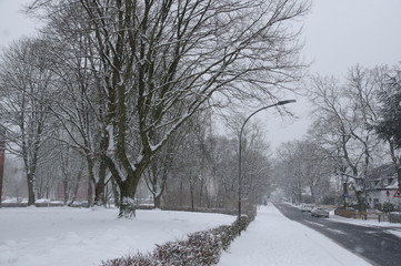 Fototapeta premium Street and snowfall in winter