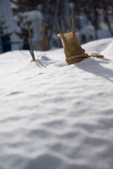 冬囲い、埋まる