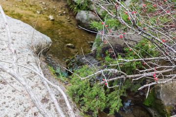 River Place Nature Trail