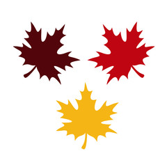 Background with leaves