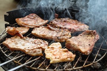 Grilled meat, pork, beef and chicken meat on barbecue, grill. Shallow depth of field.