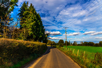 English country road on a sunny day, lush green vegetation