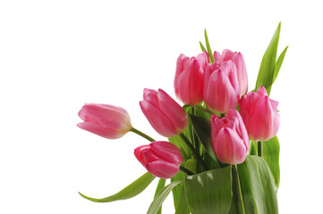 bouquet of pink tulips