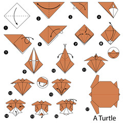 step by step instructions how to make origami A Turtle