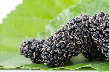 Close up mulberry fruit with green leaf