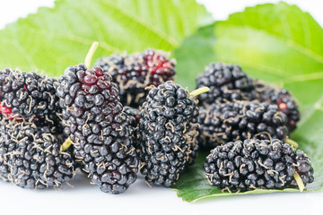 Close up mulberry fruit with green leaf