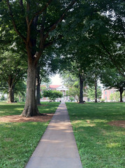 The Grove at Ole Miss