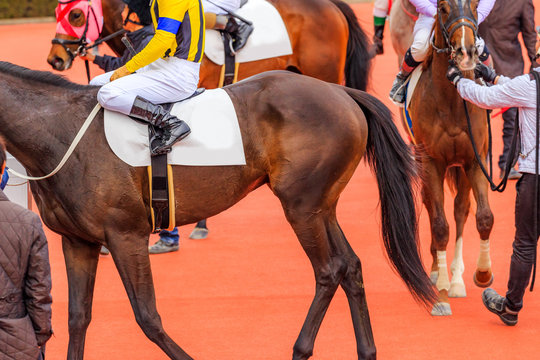 競馬イメージ