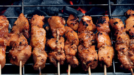 Chicken Satay / Chicken satay  is grilled chicken skewers marinated with spices and served with peanut sauce.