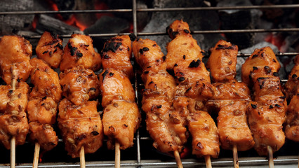 Chicken Satay / Chicken satay  is grilled chicken skewers marinated with spices and served with peanut sauce.