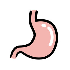 内臓：胃