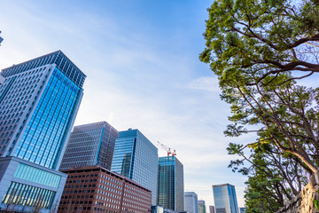 Obraz premium 東京都心の高層ビル