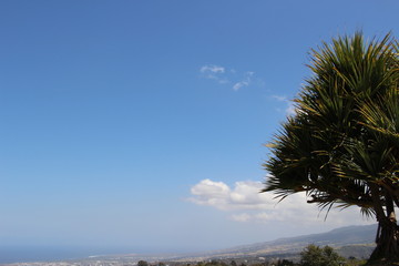 Tampon ile de la réunion