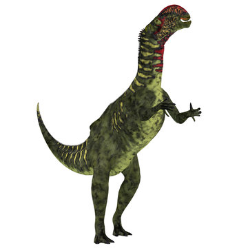 Altirhinus Dinosaur on White - Altirhinus was an iguanodont herbivore dinosaur from the Cretaceous Period of Mongolia.