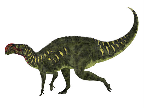 Altirhinus Dinosaur Side Profile - Altirhinus was an iguanodont herbivore dinosaur from the Cretaceous Period of Mongolia.