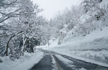雪で真っ白な道路