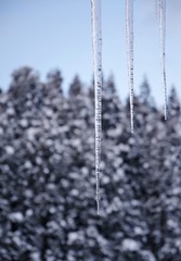 Fototapeta premium 雪景色とつらら