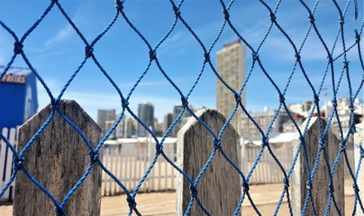 Mdq behind net