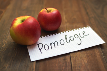 apples on wooden table