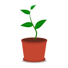 A green plant growing from a pot and soil. Illustration of a green organic plant.