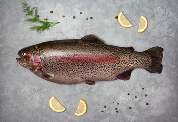 fresh trout