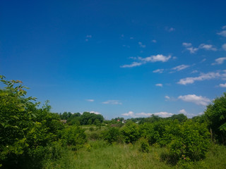 Obraz premium a summer green landscape on the blue sky background on a bright sunny day
